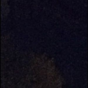 Meet your Posher, Noah